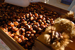 © Var Tourisme / JH Walzl © Var Tourisme / JH Walzl