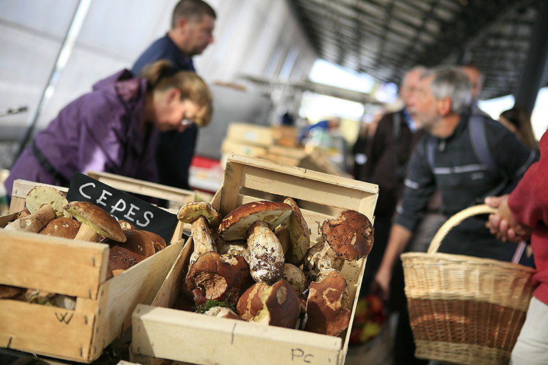 Champignons (cèpes) sur le marché du Quai du roi, à Orléans © M. Perreau - CRT Centre-Val de Loire