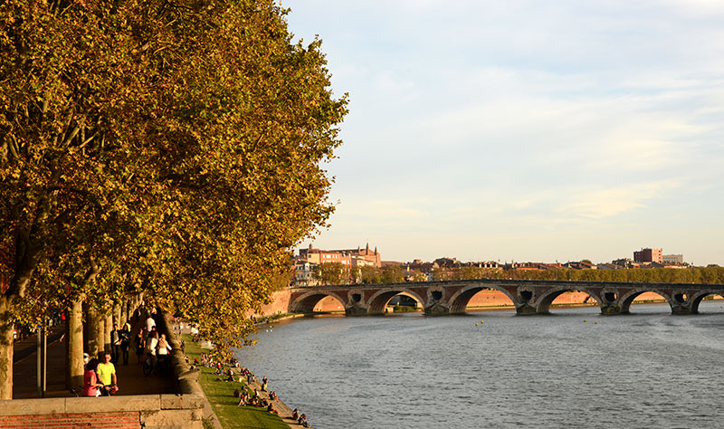 Toulouse - DR Patrice THEBAULT, CRT Occitanie