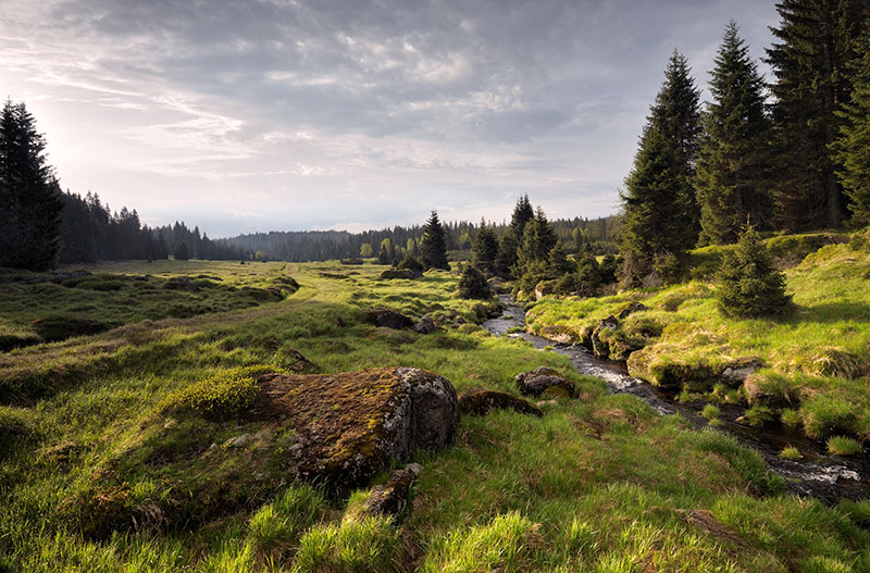 Parc national de Sumava - DR CzechTourism Pavel Ourednik