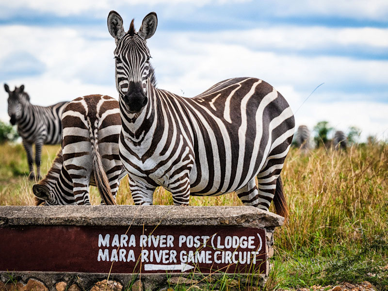 Formation à distance : comment vendre la Tanzanie par Tanganyika Expeditions.