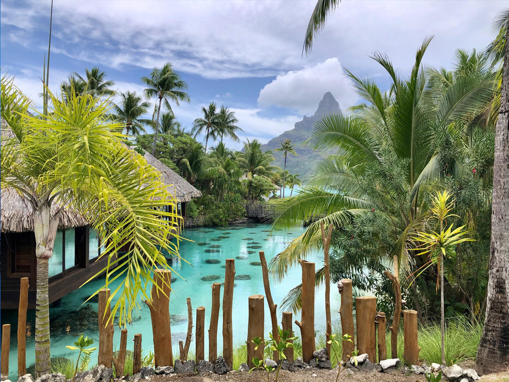 Michel Monvoisin : "e fait de détenir un titre de transport pour un vol à destination de Papeete est un motif dérogatoire de déplacement pour se rendre à CDG" - Photo JDL