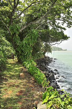 Sentier de randonné bord de mer Île Royale
