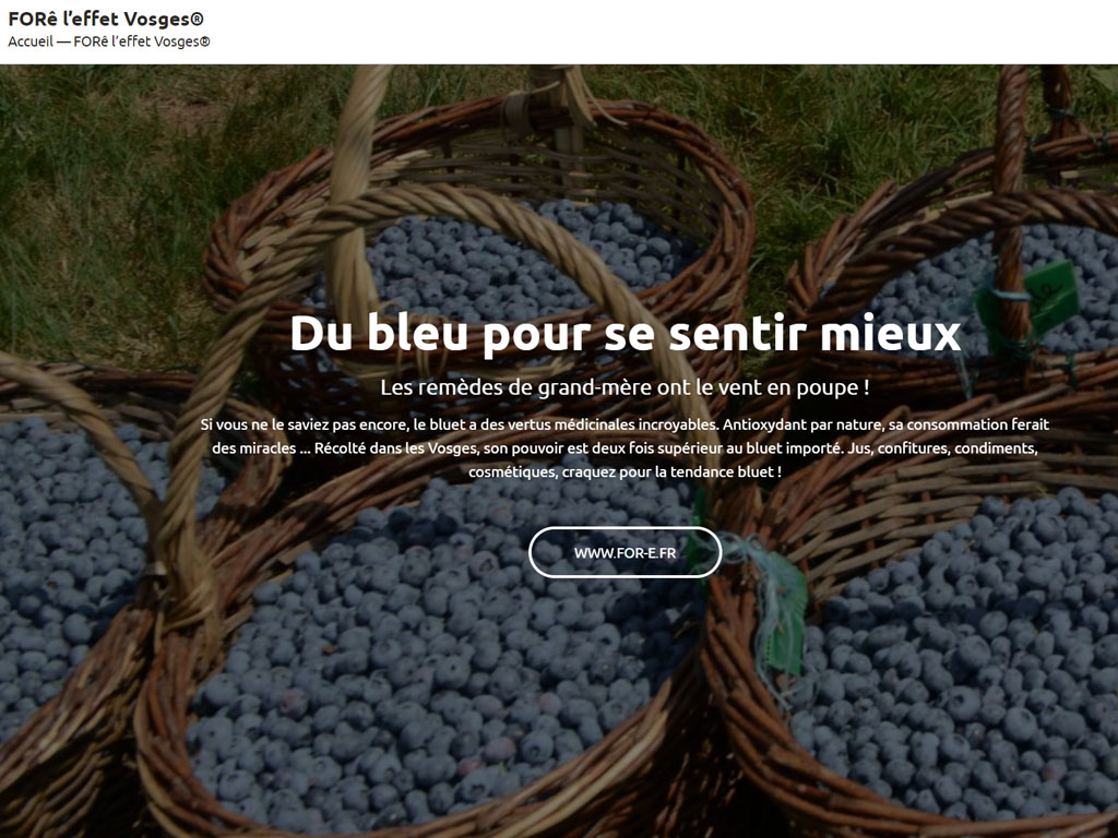 Initiative du département des Vosges qui dès 2012, a créé la marque Forê l’Effet Vosges® dans l’objectif d’accroître la notoriété de la destination Vosges. - DR