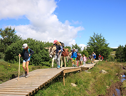 Randonnée avec les ânes aux sources de la Loire © Olivier MATHIS