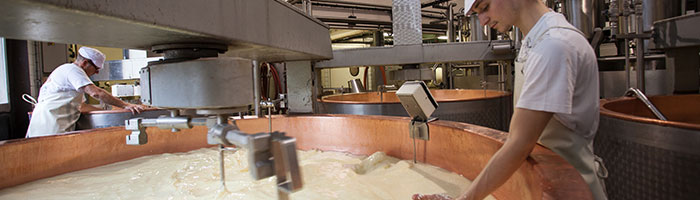 La fabrication du fameux Comté tous les matins de l’année dans les fruitières - ©fromagerie du mont d'or