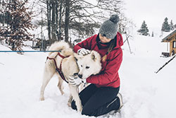 © Elisa et Max Bestjobers / Montagnes du Jura