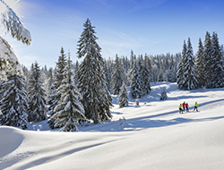 © S.Buisson / ski de fond © S.Buisson / ski de fond
