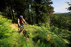 The Phoenix Trail, Mabie Forest - DR VisitScotland - Paul Tomkins