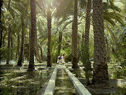 Al Ain Oasis © Abu Dhabi Department of Culture and Tourism
