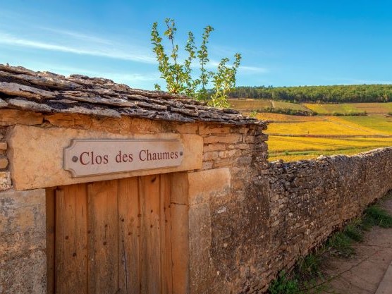 Vignoble Côte de Beaune. Clos des Chaumes - Photo Alain Doiré, Bourgogne-Franche-Comté Tourisme