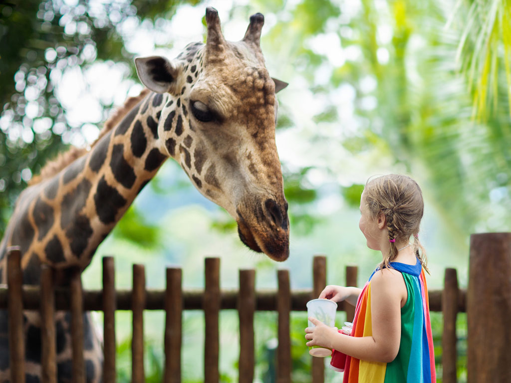 "Ce qui est certain est que le mot "zoo" est entaché aujourd'hui d'une image vieillotte et représente un concept repoussoir lié à une captivité coupable, qui ferait des fortunes sur l'exploitation de pauvres animaux sauvages. C'est un cliché qui a la vie dure, et qui est de mon point de vue une injure pour ceux qui font bien leur travail." - Depositphotos.com FamVeldman