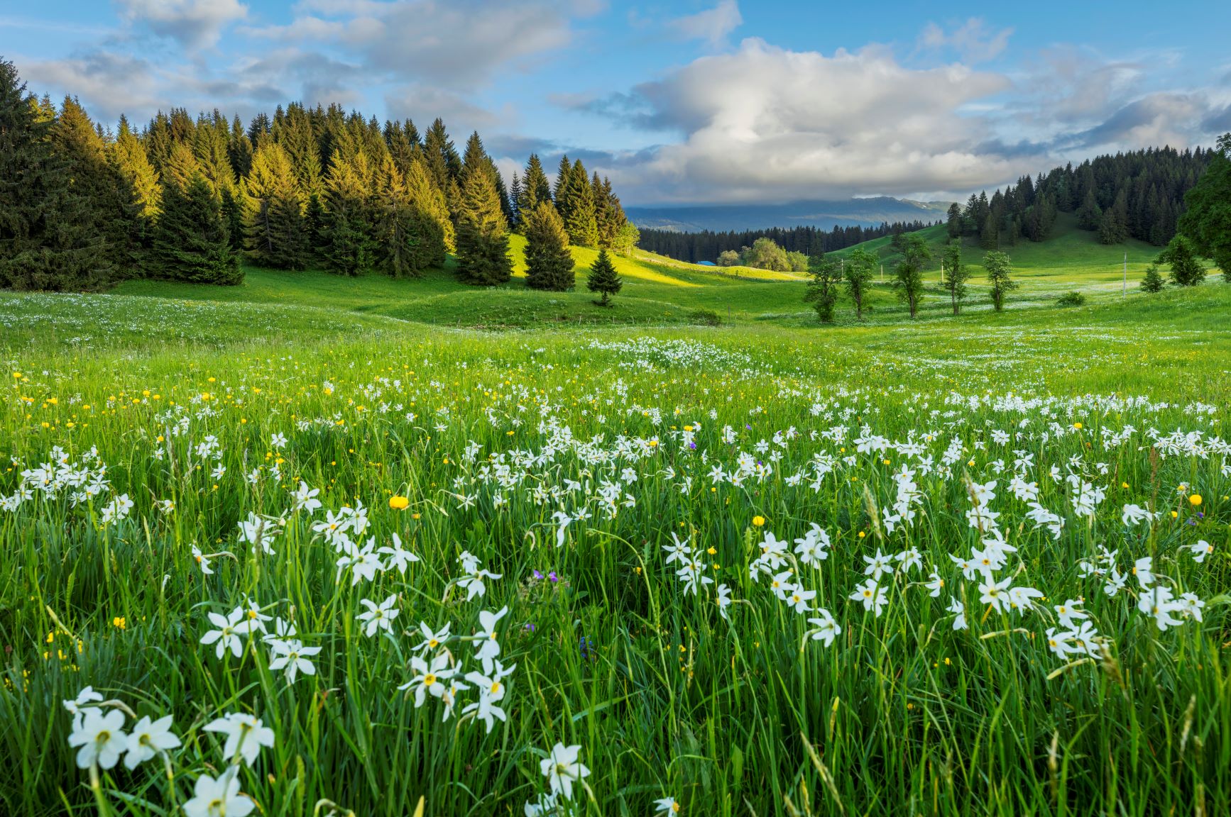 Paysage des Hautes Combes - Photo Stéphane Godin/Bourgogne-Franche-Comté Tourisme