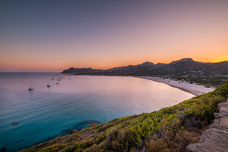 © iStock - joningall-ostriconi
