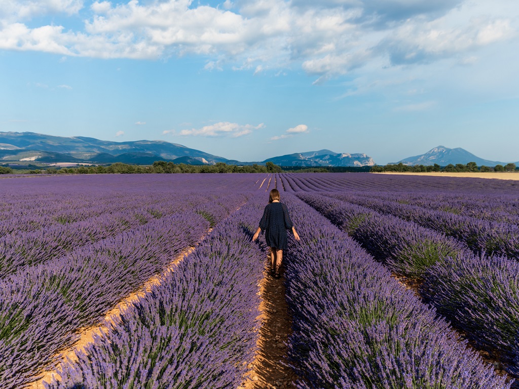 La France reste une destination de deux régions essentiellement, l’Ile-de-France et la région Sud (PACA) qui possèdent des patrimoines culturels et naturels qui n’ont aucun besoin de promotion et qui attirent sur leur seul nom des millions de visiteurs directs - DR : DepositPhotos, AlexGukBO