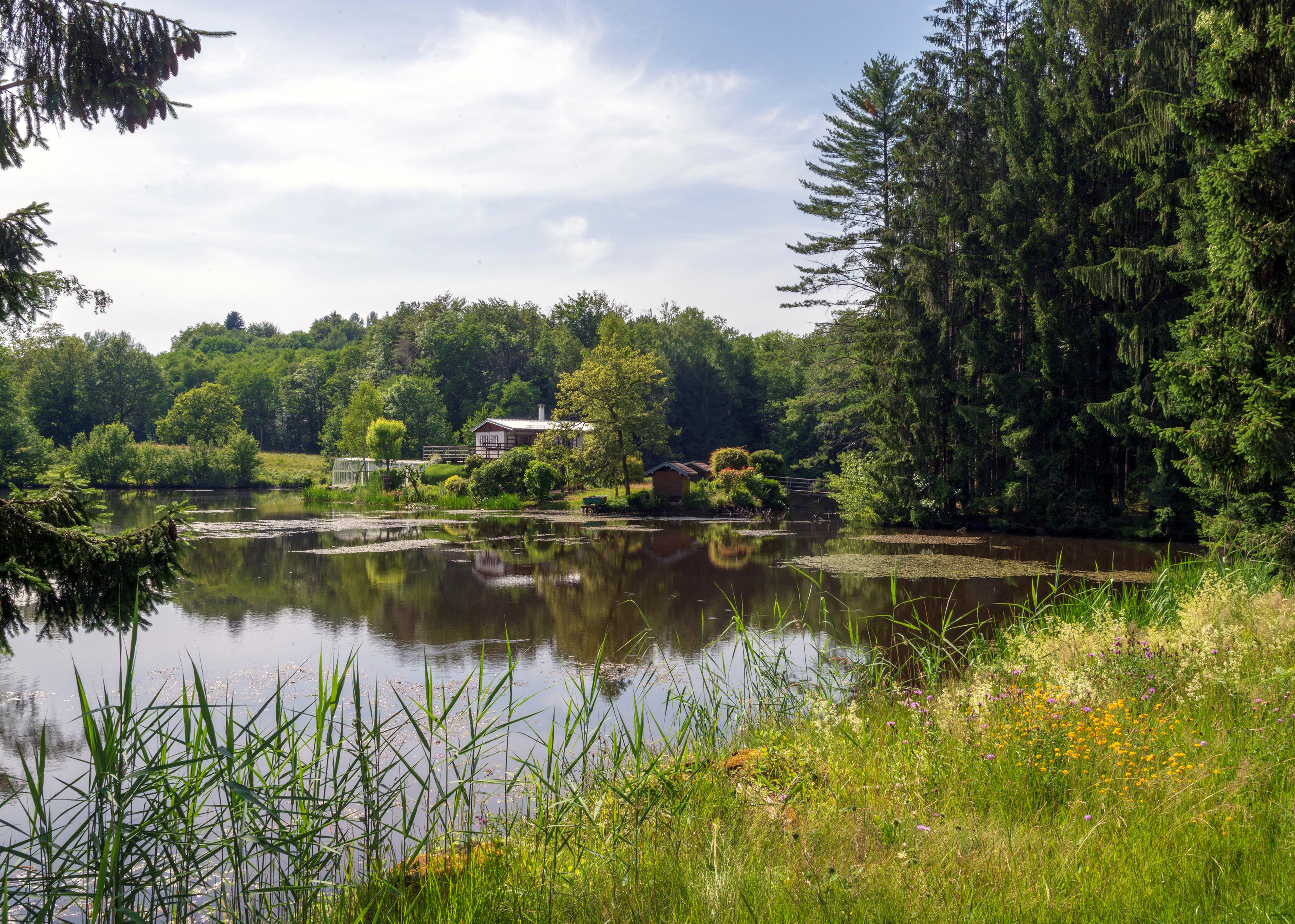 Sur le plateau des Mille Etangs dans les Vosges du Sud - Photo Alain Doiré / Bourgogne-Franche-Comté Tourisme