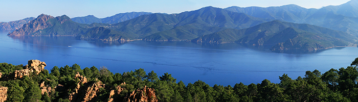 Golfe de Porto © S.Aude Balloid Golfe de Porto © S.Aude Balloid