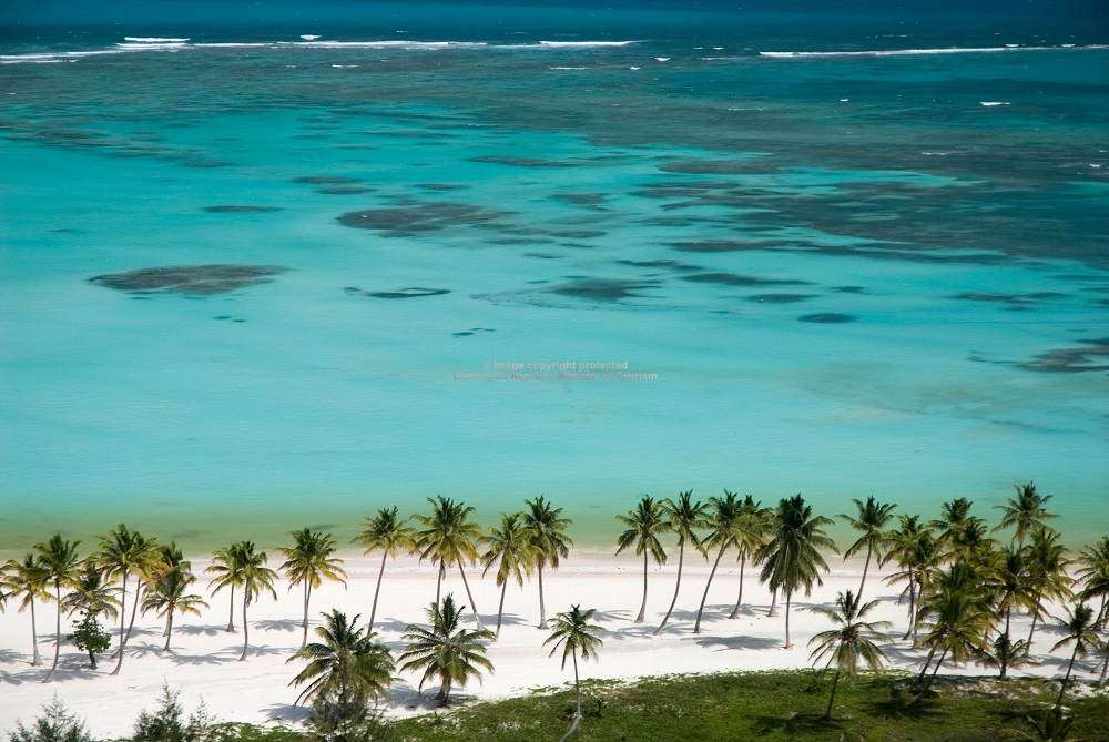 voyage republique dominicaine formulaire