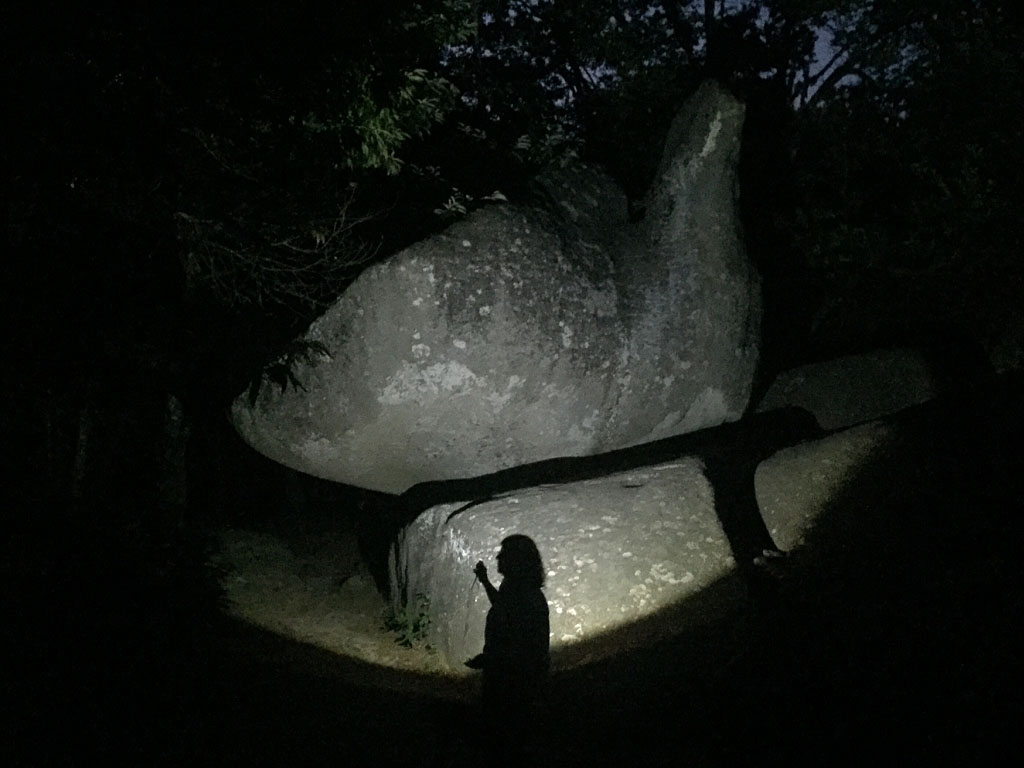 Vers 21h, à la lumière d'une lampe torche et le temps d’une balade nocturne, replongez dans le monde de votre enfance - Photo AGIT Vers 21h, à la lumière d'une lampe torche et le temps d’une balade nocturne, replongez dans le monde de votre enfance - Photo AGIT