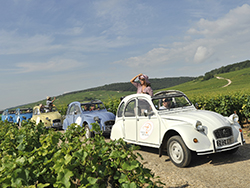 Balade à la queue leu leu dans les vignes en 2CV © Alain Doire / Bourgogne Tourisme Franche Comté