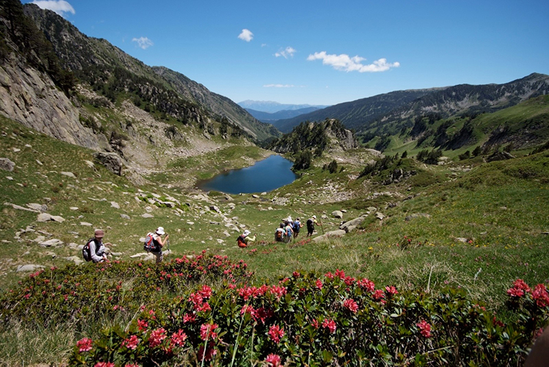 Découvrez les Pyrénées Orientales