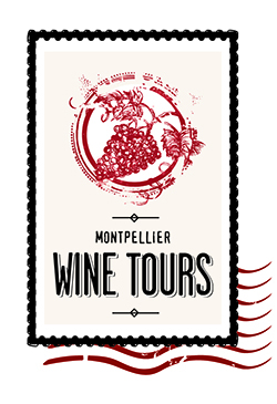 L'oenotourisme en Languedoc avec Montpellier Wine Tours