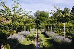 © Thierry Vincent / Domaine de Poulaines © Thierry Vincent / Domaine de Poulaines