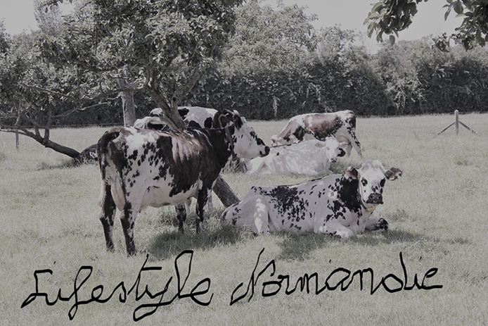 © ACSM TOURS © ACSM TOURS