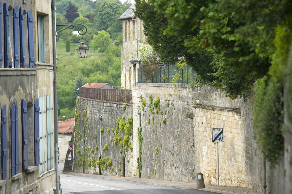 la Ville haute de Bar-le-Duc - Guillaume Ramon grpress