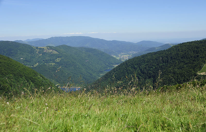 Escapade buissonnière dans les Vosges du Sud