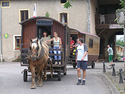 Escapade buissonnière dans les Vosges du Sud