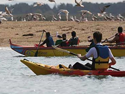 estuaire Orne : Kayak de mer et pirogue dans la baie de Sallenelles © Léandre Leber