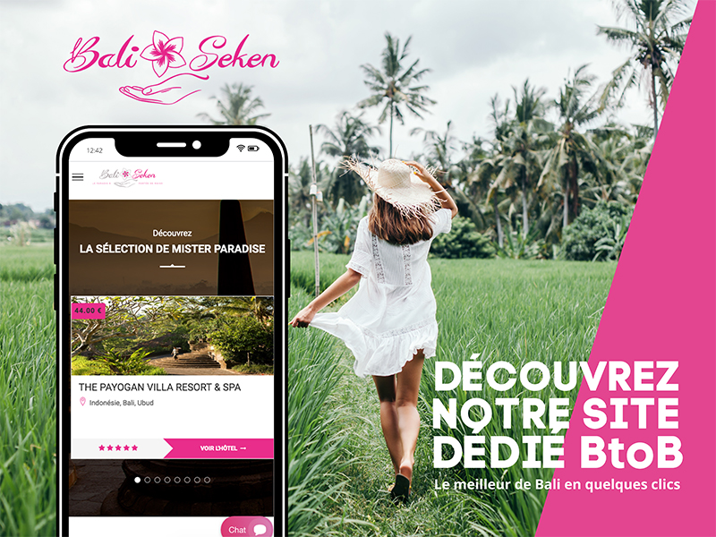 BALI SEKEN optimise son site BtoB