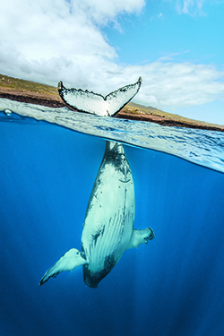 © IRT/Guillaume Boeye
