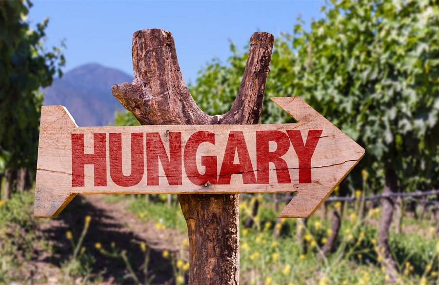 Depuis le 1er juillet, les voyageurs français peuvent de nouveau se rendre en Hongrie - Depositphotos @gustavofrazao