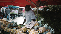 ©IRT/Miles and Love – Marché Forain