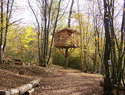 Cabane perchée dans les arbres © Pixabay