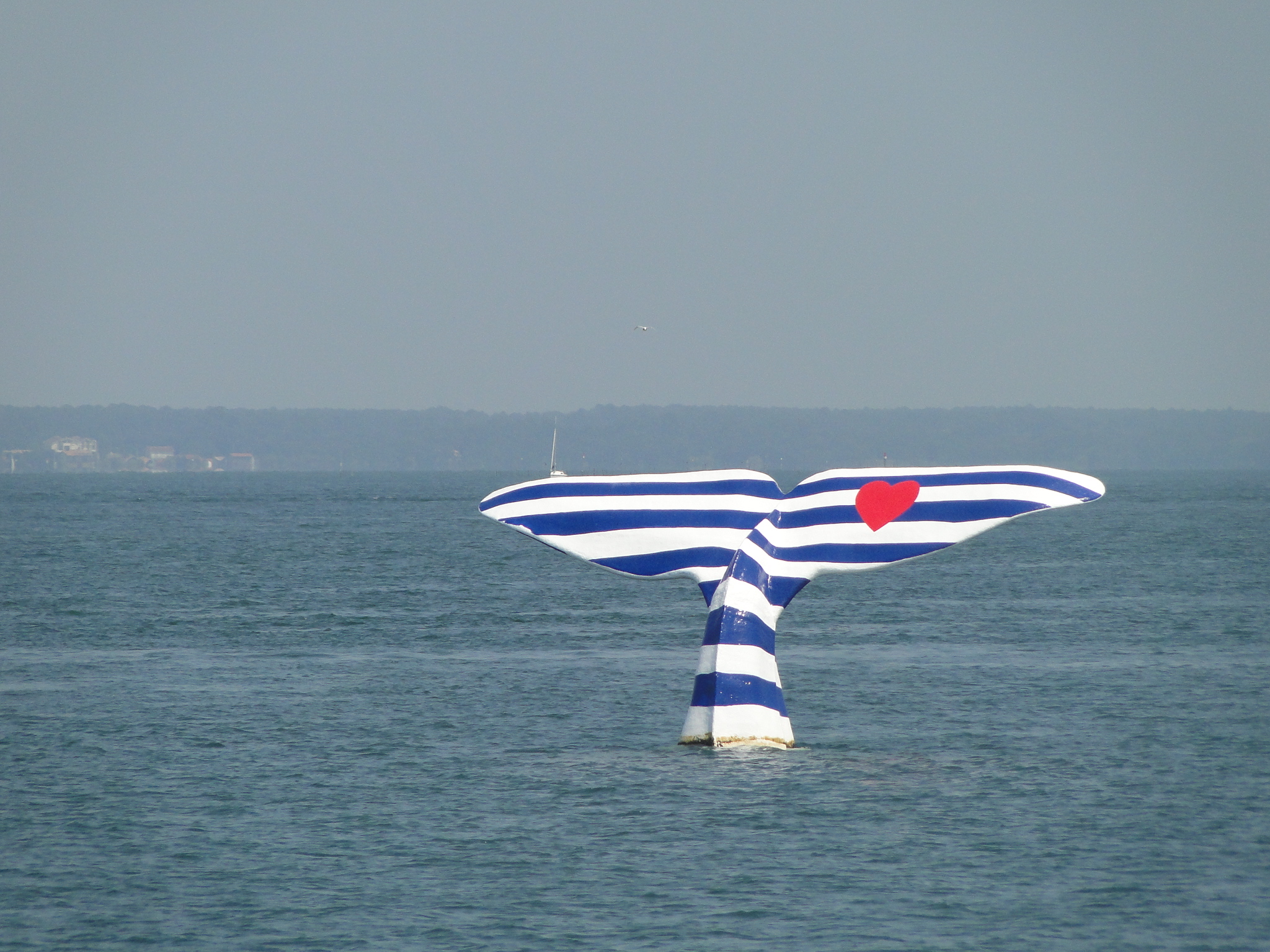 Bassin d'Arcachon/crédit CH