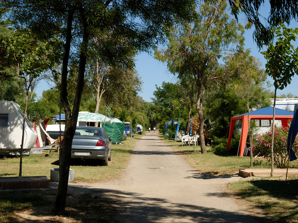 Nicolas Dayot : "Si nous faisons un ratio sur les 7800 campings présents en France, seuls 0,30% des établissements de plein air ont eu un début de cluster depuis le début de l'été.  C'est très faible et cela démontre à quel point il faut être sérieux" - Depositphotos.com  Auteur philipus