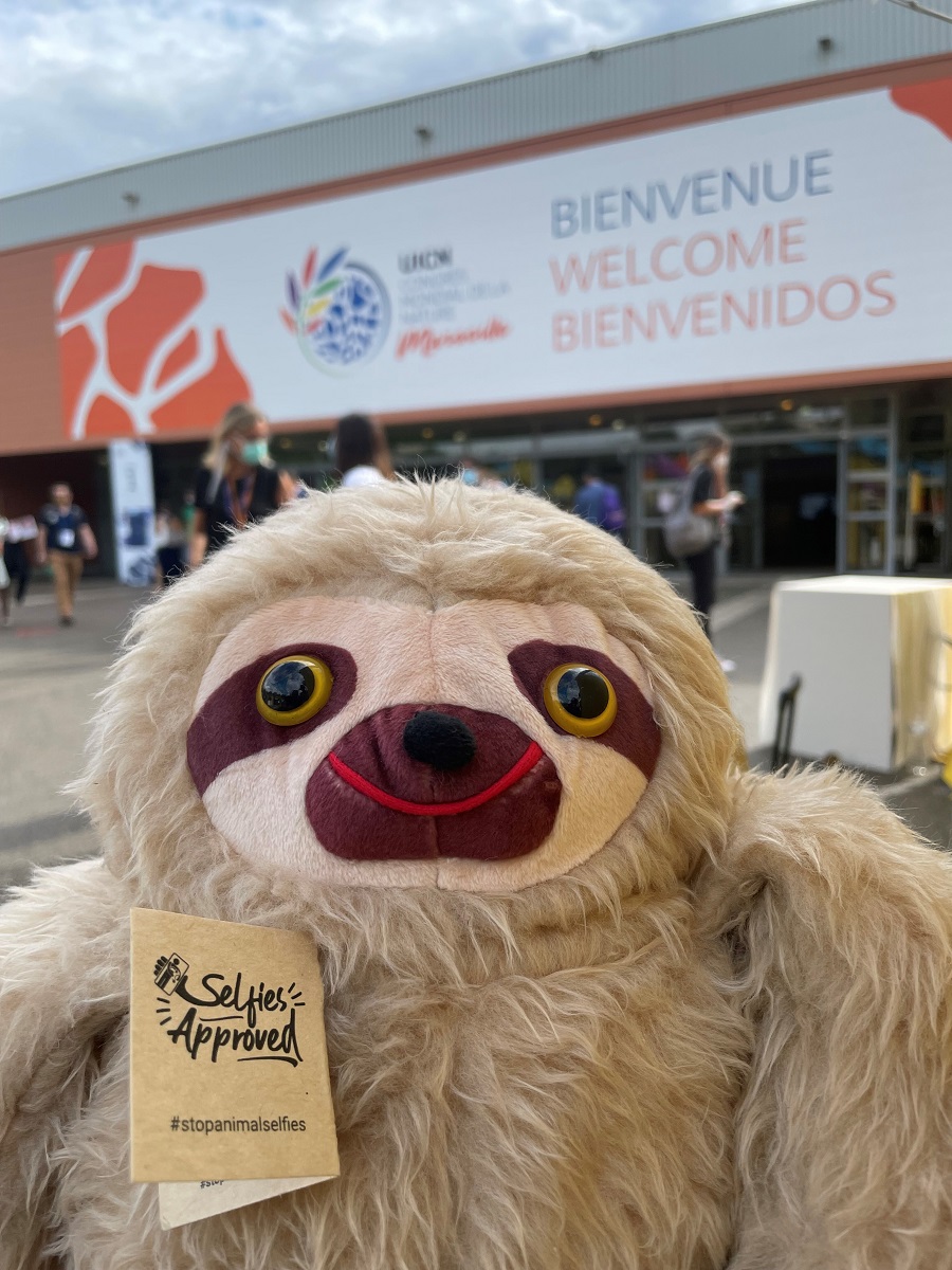 Le Costa Rica assure la promotion de la campagne “Stop Animal Seflies” - DR
