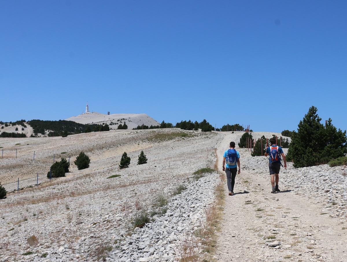 Le pierrier sommital fait croire aux néophytes que le Ventoux vu de loin est toujours couvert de neige. Erreur ! - DR : J.-F.R.