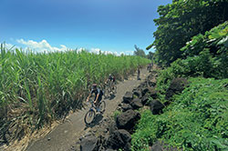© Beachcomber Resorts & Hotels © Beachcomber Resorts & Hotels