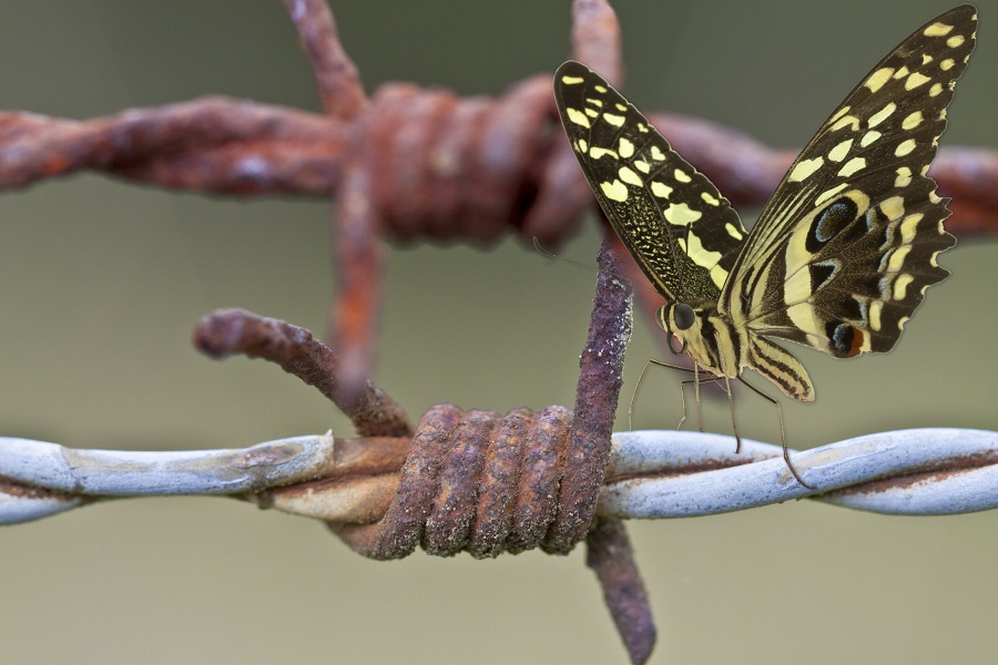 "A la rencontre des Tunisiens, j'ai toujours senti un profond sentiment de liberté et de joie de vivre dans un monde enfin tourné vers l'avenir" - DR : © Unclesam - Fotolia.com "A la rencontre des Tunisiens, j'ai toujours senti un profond sentiment de liberté et de joie de vivre dans un monde enfin tourné vers l'avenir" - DR : © Unclesam - Fotolia.com