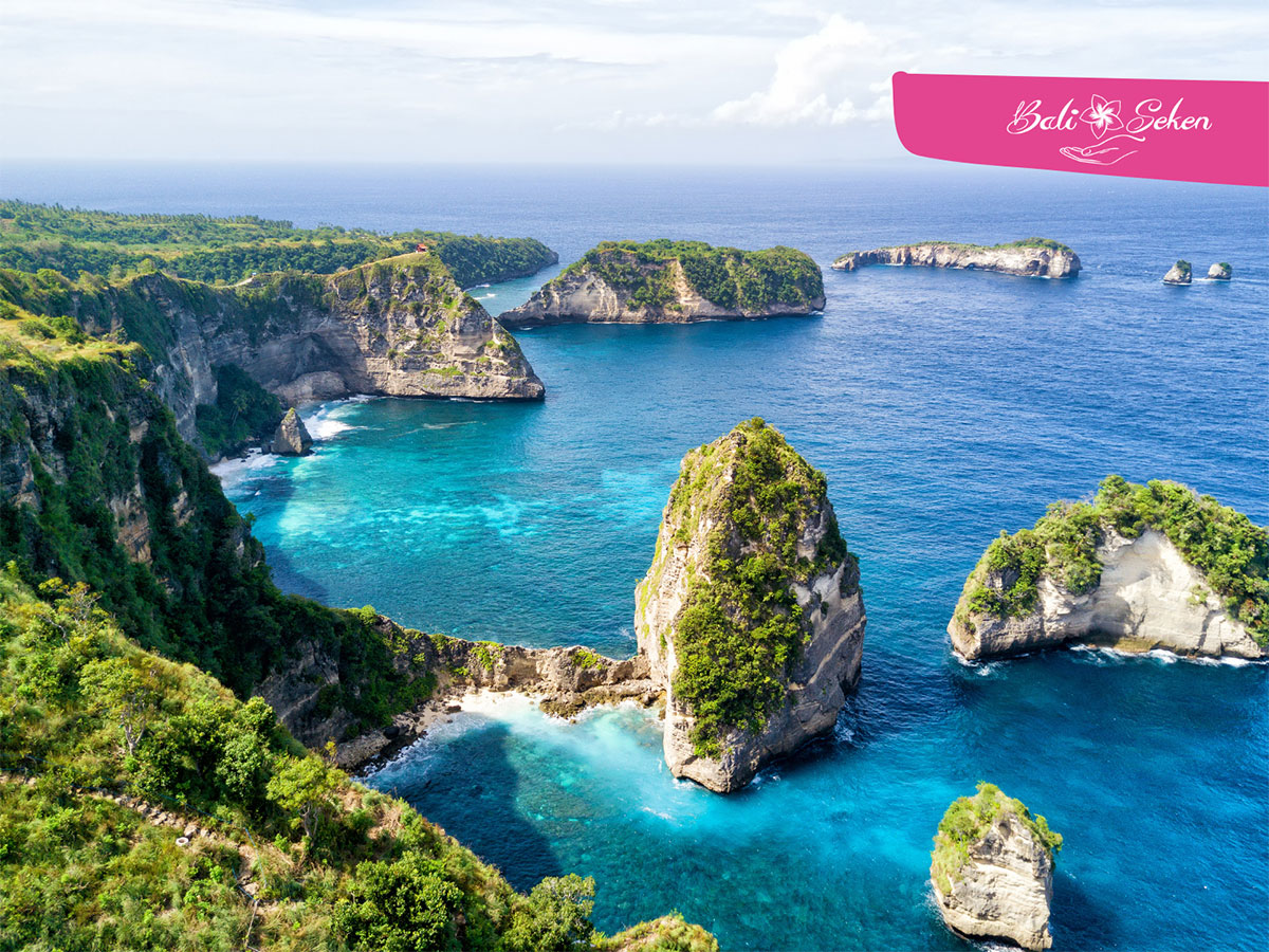 L'importance des réseaux sociaux pour un DMC L'importance des réseaux sociaux pour un DMC