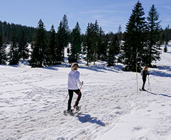Raquettes dans les Montagnes du Jura @ Manon Nevers - BFCTourisme