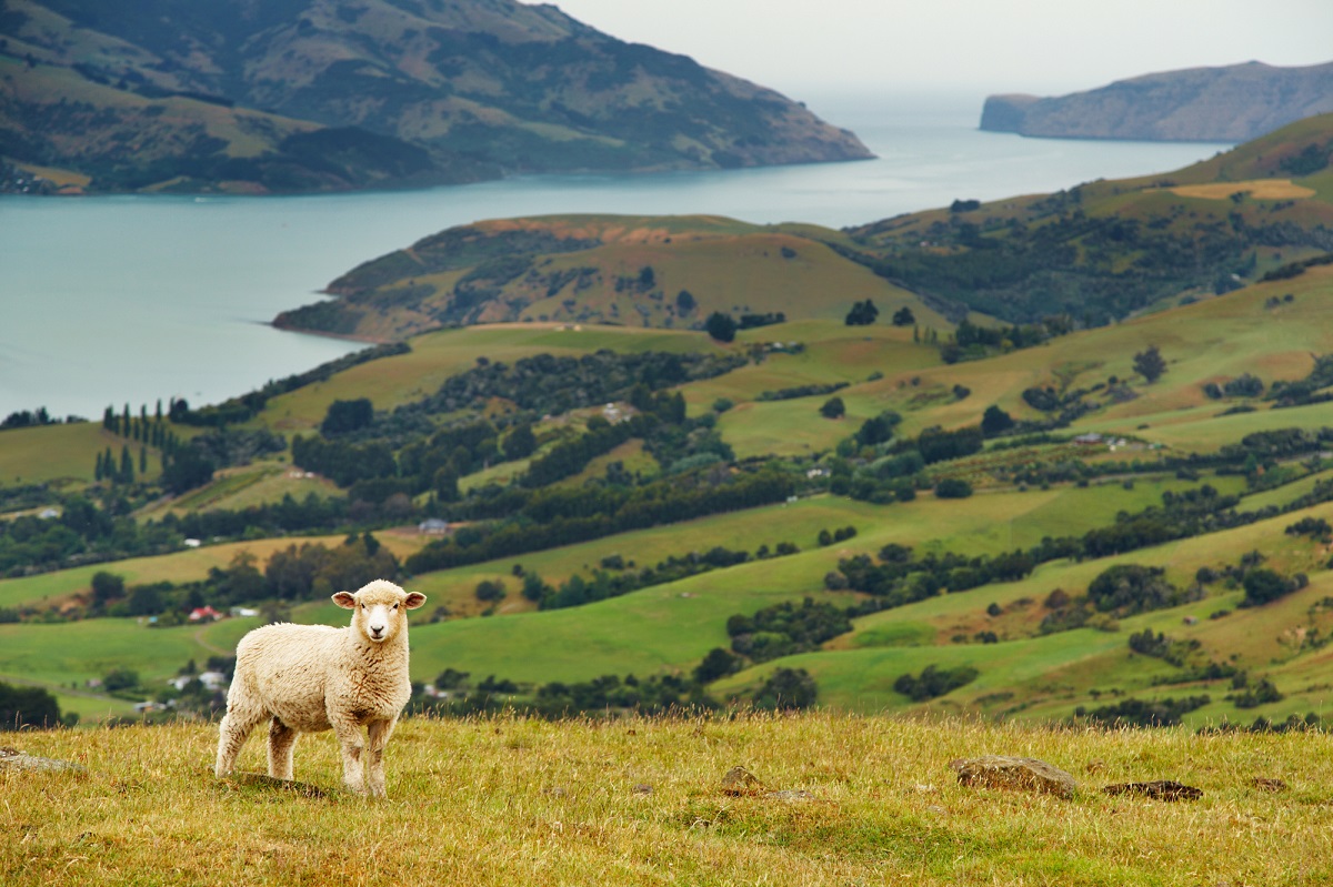 La Nouvelle-Zélande a annoncé la réouverture de ses frontières aux voyageurs vaccinés à partir du 30 avril 2021 - Depositphotos.com Auteur muha04