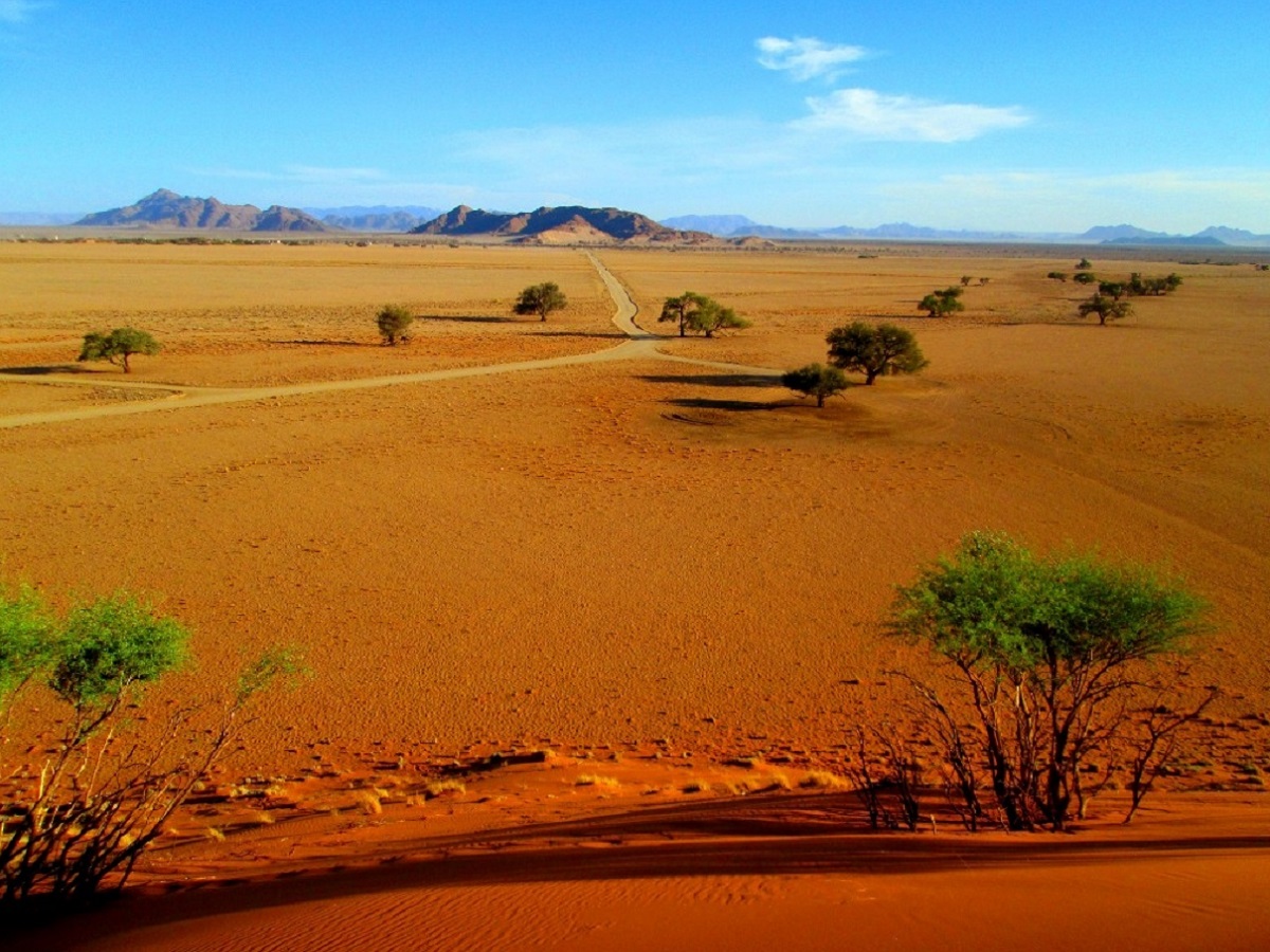 "ces restrictions sont un coup d'arrêt inattendu, brutal, sans considération aucune pour une réalité économique et sociale, déjà très tendue" selon Stéphane Rossard, professionnel du tourisme installé en Namibie et expert d l'Afrique Australe- SR