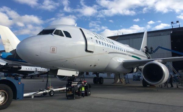 Amelia expands its fleet with Airbus A319-112