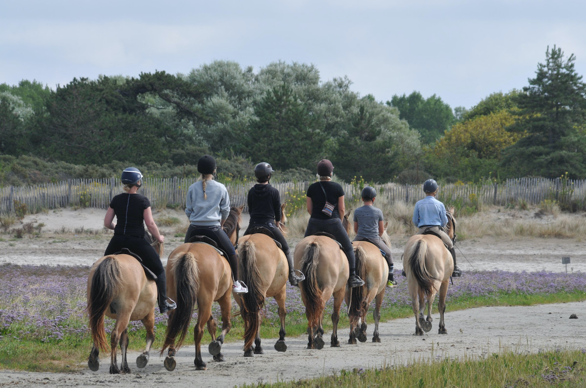 Excursion à cheval en baie de Somme (© CRT Hauts-de-France/Michel Grangier)