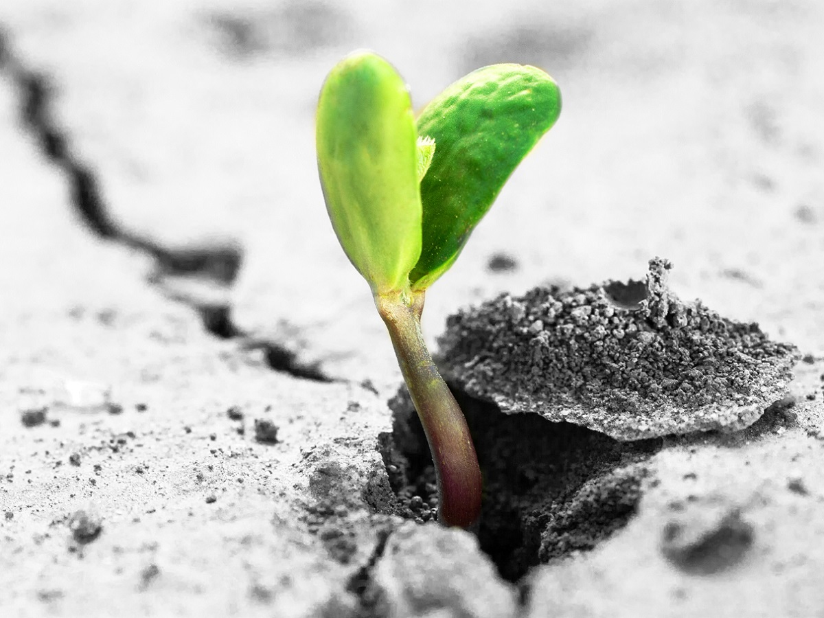 Dans les indices Next 40 et le French Tech 120, il ne reste qu'un acteur du tourisme - Depositphotos @ArtyFree Dans les indices Next 40 et le French Tech 120, il ne reste qu'un acteur du tourisme - Depositphotos @ArtyFree